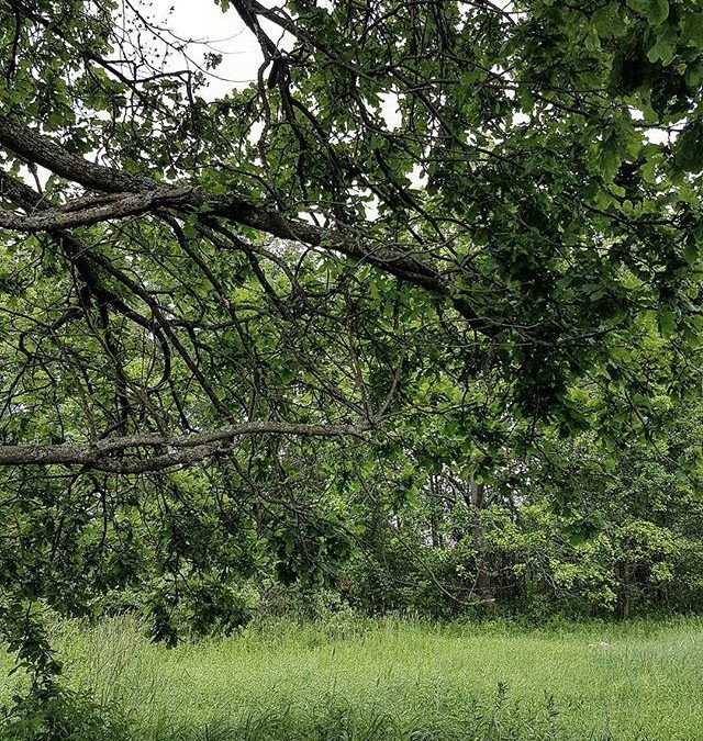 Не становитесь другими…