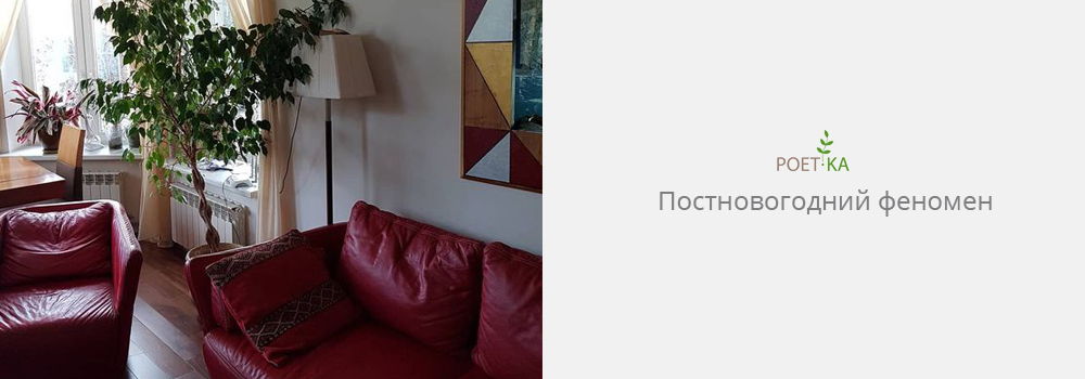 Постновогодний Феномен