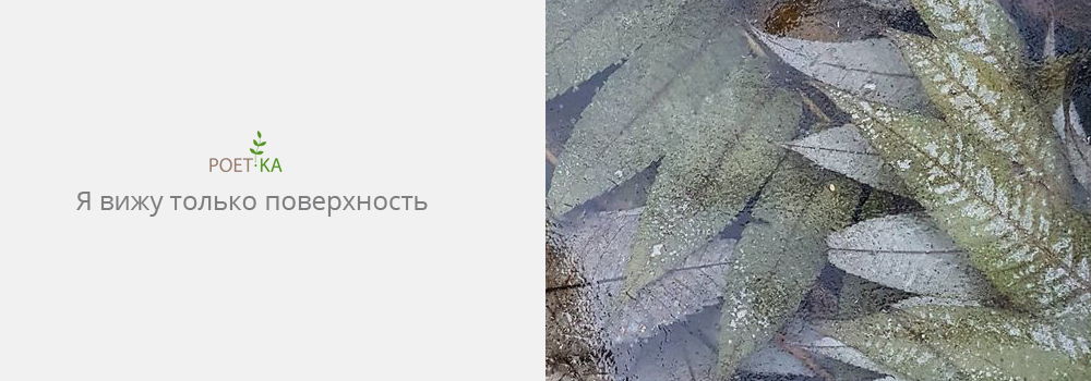 Я вижу только поверхность.