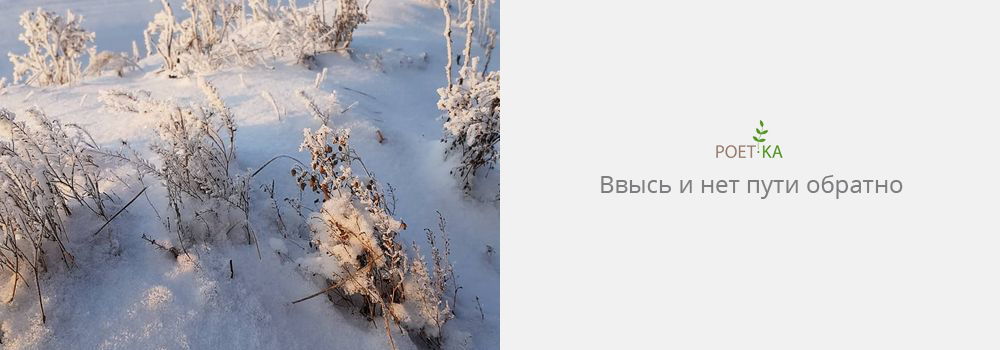 Ввысь и нет пути обратно