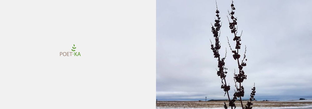 Красота помогает принять конечность.