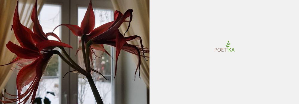 Привет, мой мир!