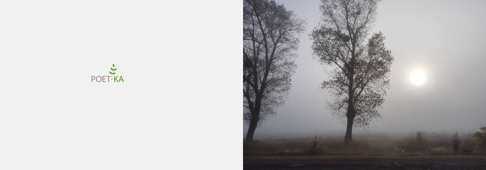 Человек-лошадь